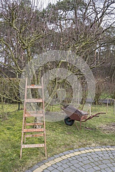 Spring cutting of fruit trees in the orchard.