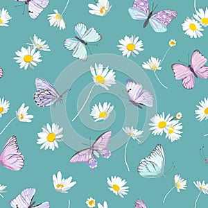 Spring daisy flowers and butterfly vector background. Seamless floral watercolor pattern