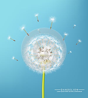 Spring dandelion flower Vector realistic. Sky background soft bokeh illustrations