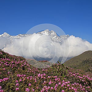 Spring day in the Everest National Park