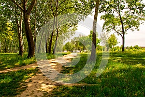 Spring day in a park. Path trough green grass and trees.