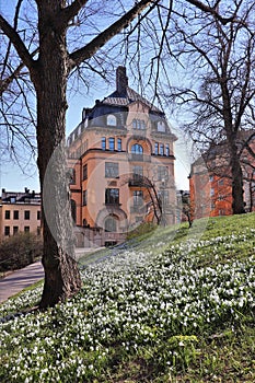 Spring day at TegnÃ©rlunden in Stockholm