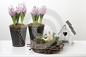 Spring decoration with hyacints