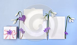 Spring decoration. Postal envelope with paper card note with space for text, gift box, snowdrops, flowers hepatica