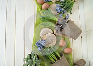 Spring decorative composition. Flowers in a basket and pots of hyacinth, muscari, narcissus.