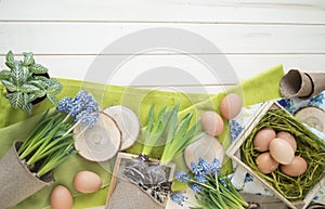 Spring decorative composition. Flowers in a basket and pots of hyacinth, muscari, narcissus.