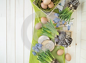 Spring decorative composition. Flowers in a basket and pots of hyacinth, muscari, narcissus. Wooden background.