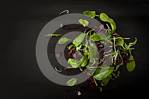 Spring detox Salad mix with arugula, beetroot, spinach and sprouts on dark wooden board over black background, top view.