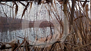 Spring duck hunting, two hunters hidden in a hut on the river shoot guns at wild drakes, view from the hut on the action