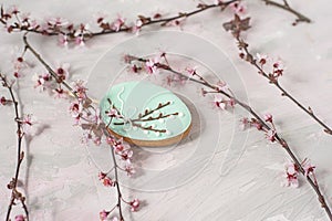 spring or easter background. delicate flowering branches with pink flowers