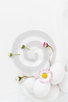 Spring Easter background with white eggs Daisy flowers