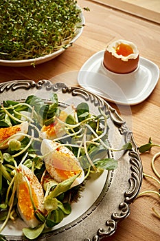 Spring and Easter breakfast with boiled eggs and cress sprouts with sprouts on wooden background