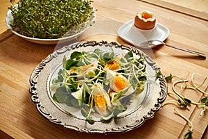 Spring and Easter breakfast with boiled eggs and cress sprouts with sprouts on wooden background