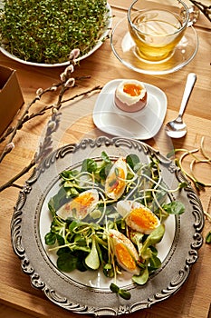 Spring and Easter breakfast with eggs and cress sprouts with tea and sprouts on wooden background