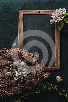 Spring Easter card with bird nest