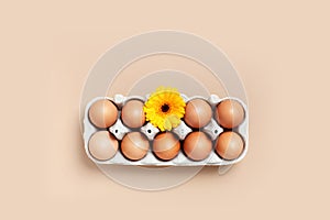 Spring and easter concept. A box of brown eggs and a yellow flower