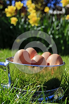 Spring - Easter egg cup (portrait)