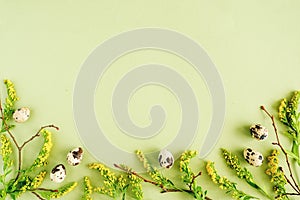 Spring easter floral border. Natural tree branches, yellow flowers and quail eggs on green background with copy space. Creative