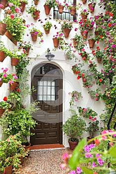 Spring and Easter Flowers Decoration of Old House, Spain, Europe