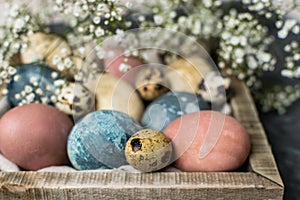 Spring easter minimal background rustic style composition - organic naturally dyed easter eggs