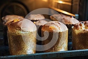 Spring Easter photo. Pasques, cakes