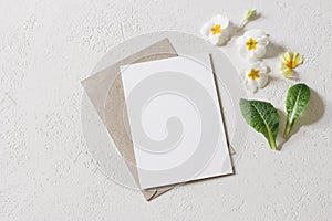 Spring, Easter stationery mock-up scene. Blank greeting card, invitation with craft envelope and green leaves. White and