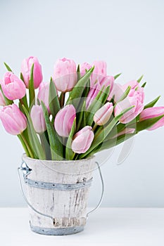 Spring easter tulips in bucket on white vintage background.