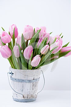 Spring easter tulips in bucket on white vintage background.