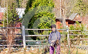 Spring efforts on prunning plants at the dacha