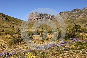 Spring at El Capitan, West Texas photo