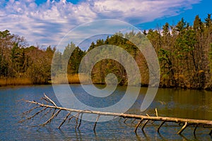 Spring Emerges from Winter