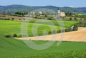 Spring farm landscape with green fields and old city