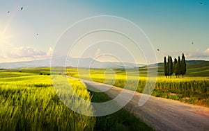 Spring farmland and country road; tuscany countryside rolling hills