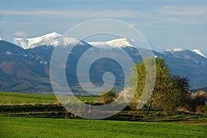 Jaro, Fatra, Slovensko