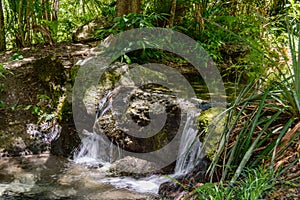 Spring fed waterfall