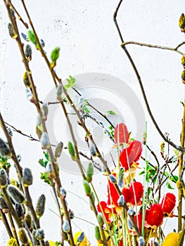 Spring feeling nature background with willow branches Pussy willow srpingtime background, selective focus