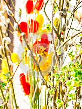 Spring feeling nature background with willow branches Pussy willow srpingtime background, selective focus