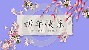 Spring Festival Background