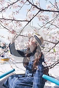 Spring festival cherry blossom in Tokyo, Japan.