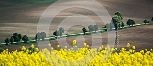 Spring field abstract background