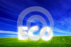 Spring field of fresh green grass with glowing Eco caption photo