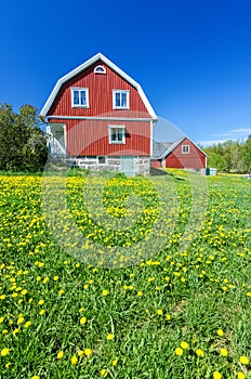 Spring field in front of Swedish house