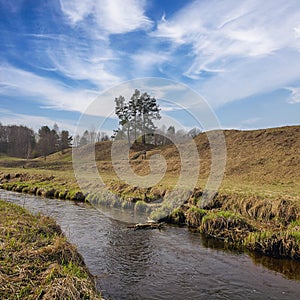 spring field stream. early spring