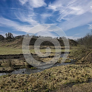 spring field stream. early spring