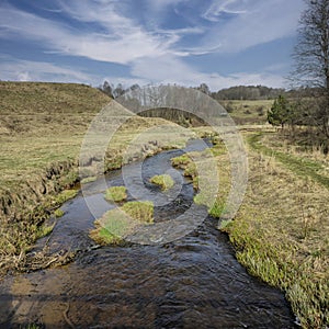 spring field stream. early spring