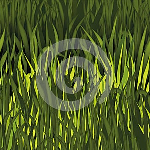 Green grass seamless pattern, vector game nature lawn texture, garden meadow background.