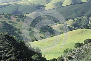 Spring Fields in Carmel Valley