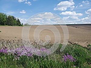 Spring Fields of Wilmot Township