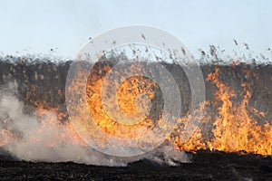 Spring fires of dry grass.