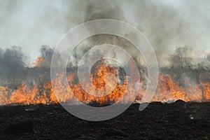 Spring fires of dry grass.